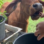 Geen folders, geen standaardtours